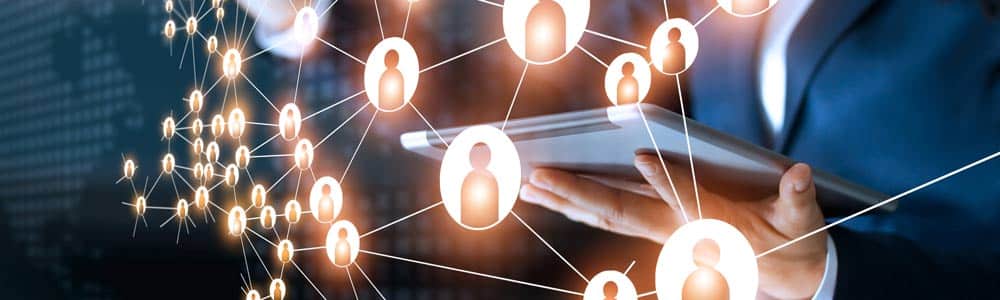 Local SEO Success