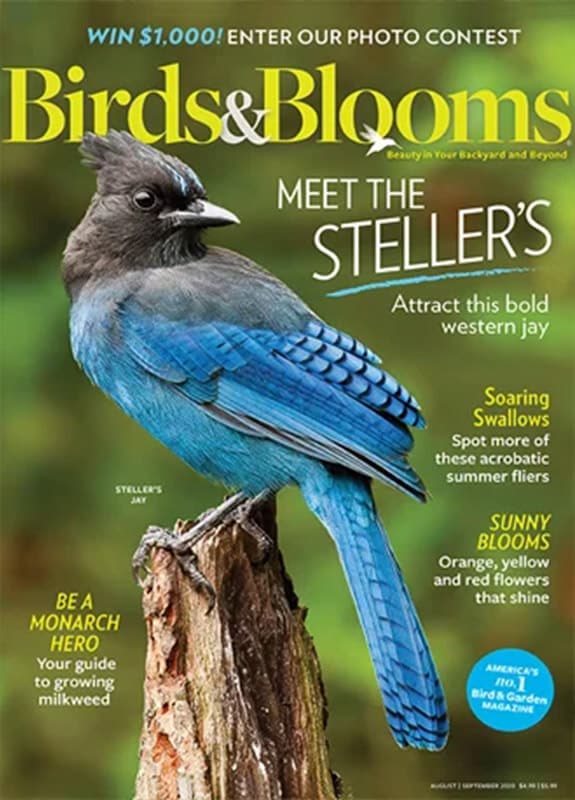 Birds & Blooms Magazine